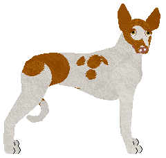 Profile image of Rosestone's Rainy Day Surprise