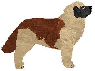 Profile image of Gladiator Calpernia