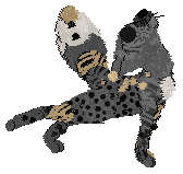 Krunchez' Chaotic Winds at Vanilla — “Tempest”