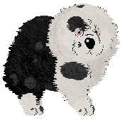 Krunchez' Black & White & Cute All Over at Vanilla — “Marshalade”