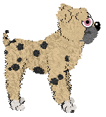 Profile image of Mist/FDL's Sting Like a Beemer