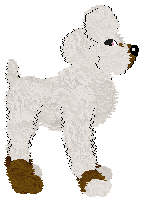 FDL's Gefitinib — “Iressa”