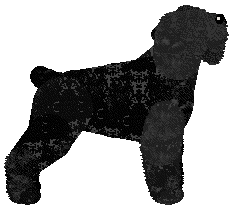 Samhradh's It Must Be Magic — “Andrey”