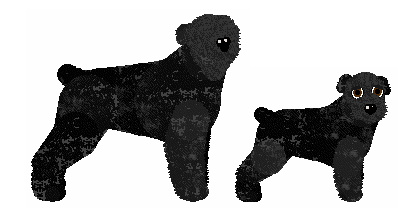 Profile image of Samhradh's It Must Be Magic