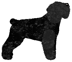 Samhradh's Minutes To Midnight — “Pasha”