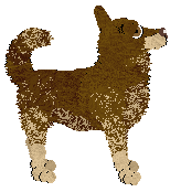 Paradigm Start Your Engines — “Godot”