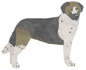 Profile image of Filthy's Thunder Over Taurus