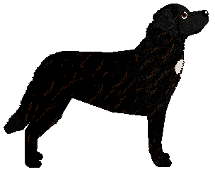 Profile image of Filthy's Keeper of the Red Plateau