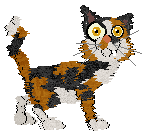 Profile image of Arrow's Righteousness