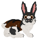 Moth's Storm and Adore @ Sekkanza — “Julep”