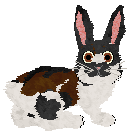 Moth's Storm and Adore @ Sekkanza — “Julep”