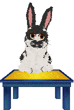 Moth's Storm and Adore @ Sekkanza — “Julep”