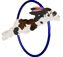 Moth's Storm and Adore @ Sekkanza — “Julep”