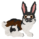 Moth's Storm and Adore @ Sekkanza — “Julep”