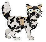 Daniluv's Lactose Intolerance @ Sekkanza — “Cocoa”