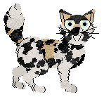 Daniluv's Lactose Intolerance @ Sekkanza — “Cocoa”