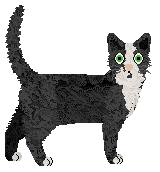 Macavity's Mezzo Piano — “Alto”