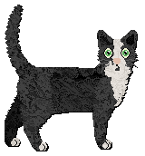 Profile image of Macavity's Mezzo Piano