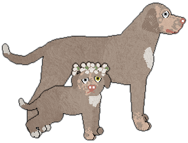 Profile image of Witz's Bon Ton Roula