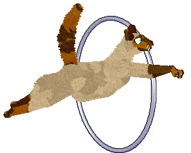 Tahnim Alibi of Chronology — “Kairi”