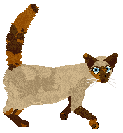 Tahnim Alibi of Chronology — “Kairi”