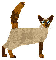 Tahnim Alibi of Chronology — “Kairi”