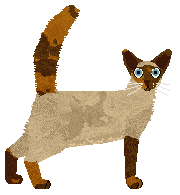 Tahnim Alibi of Chronology — “Kairi”