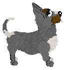 Profile image of Zan/FDL's Brilliant & Inspired Appliances