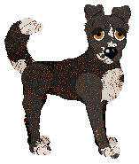 Medusa Nightmare Fakeout — “Fauxley”