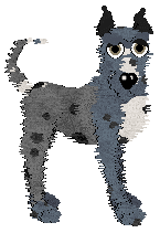 Medusa Patches of Sleet — “Ice Pellet”