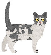 Nightwish Free For All — “Carolina”