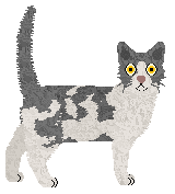 Nightwish Free For All — “Carolina”