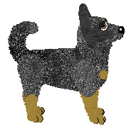 Profile image of Fleetrun Counter Strike