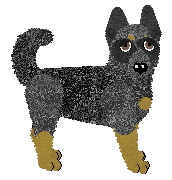 Profile image of Fleetrun Counter Strike