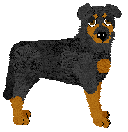 Profile image of Fleetrun Bracken Fern