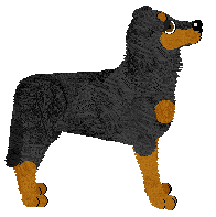 Profile image of Fleetrun Bracken Fern