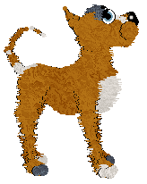 Mos Eisley/FDL's Colorful Nyhavn Quay — “Copenhagen”