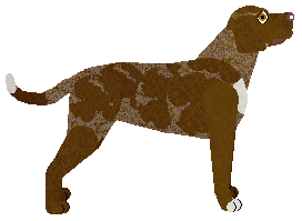 Witz's La Vie en Rose — “Aubin”