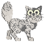 Profile image of Funfetti's Premium Product at Medusa