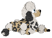 HK's Story to Tell at Medusa — “Legend”