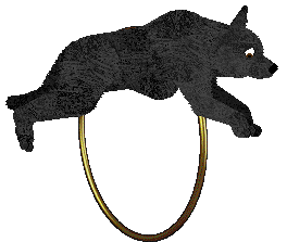 Converse ALI BABA — “Ali”