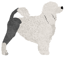 Rosestone's Through The Wardrobe — “Narnia”