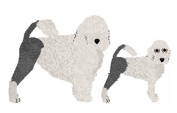 Profile image of Rosestone's Through The Wardrobe