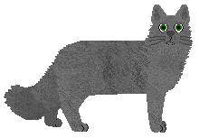 Elegant's Take A Chance — “Peter”