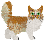 Taremu Sprinkled Star Dust — “GingerSnap”