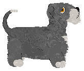 Witz's Immunity Support — “Tropicana”