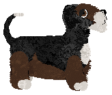 Witz's Not from Concentrate — “Martinelli”