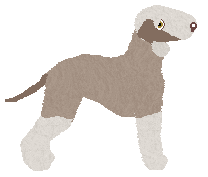 Witz's The Very Last String — “Pinnochio”