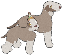 Profile image of Witz's The Very Last String