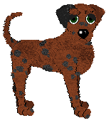 Cargo/Audaxity's Adrift in Red Sea — “Maroon”